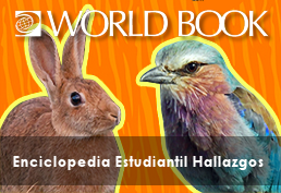 World Book Beginner's Spanish Encyclopedia image