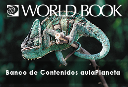 World Book Spanish - Upper Level image